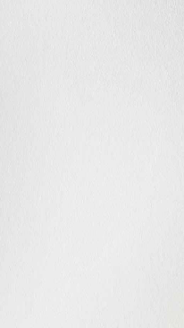 Matte White Matte White